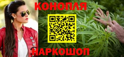 крисы Краснознаменск