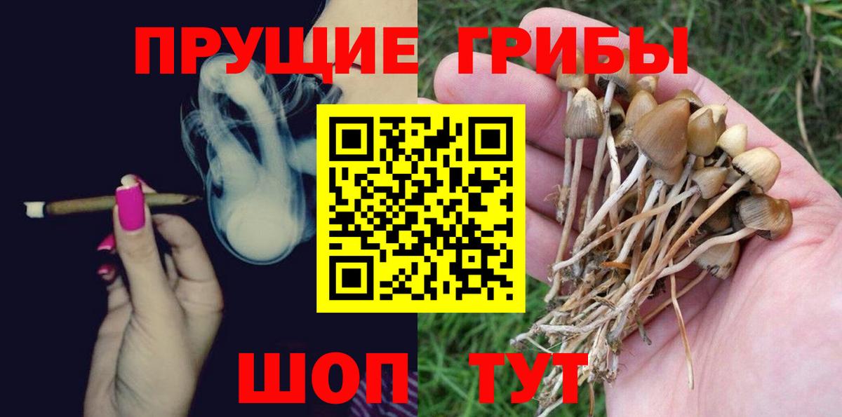 Еманжелинск  Псилоцибиновые грибы MAGIC MUSHROOMS  Вход с VPN 